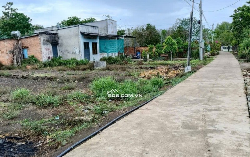 ĐẤT CẨM MỸ LÀM NHÀ VƯỜN